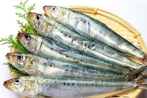 sardine, santé, 